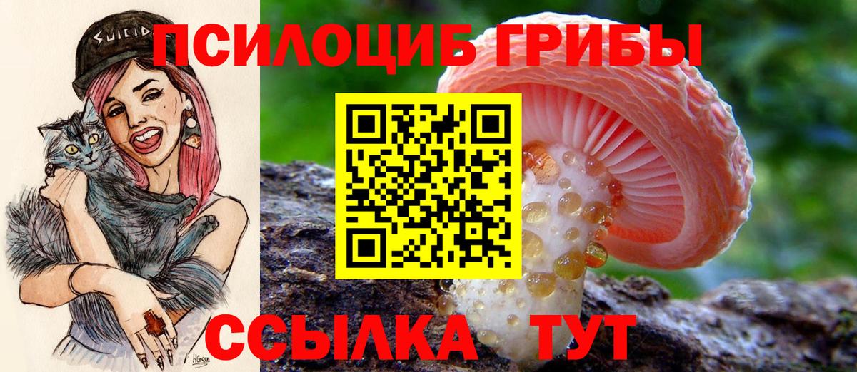 Галлюциногенные грибы прущие грибы Будённовск