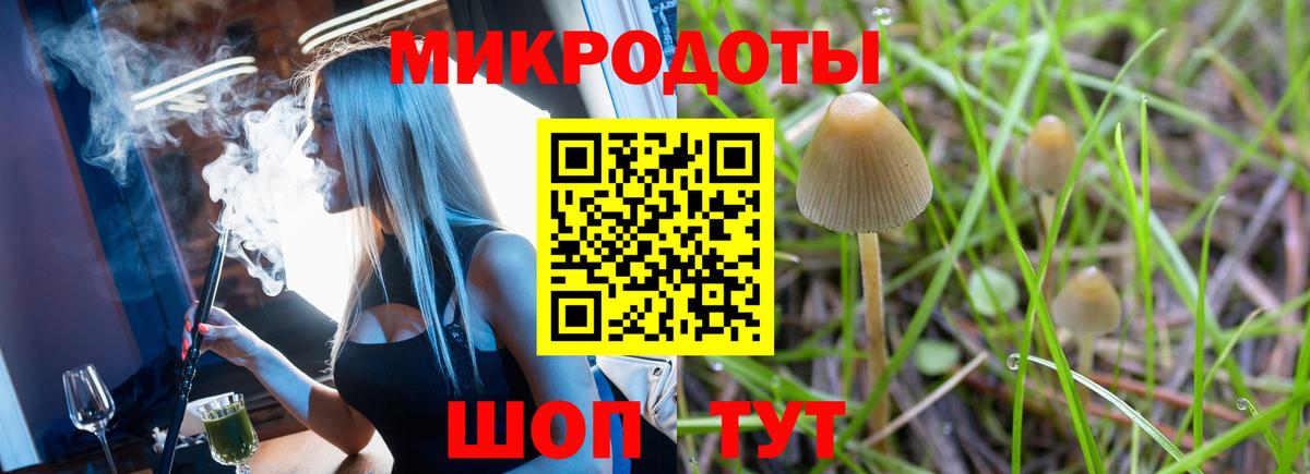 Псилоцибиновые грибы мицелий  Псилоцибиновые грибы MAGIC MUSHROOMS  Будённовск  Вход с VPN 